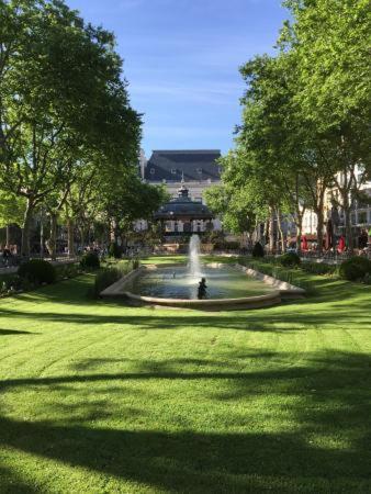 Le Cosy Central Moderne Et Chaleureux Сент-Етьєн Екстер'єр фото
